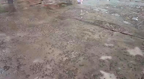 學校地面